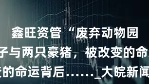 鑫旺资管 “废弃动物园”的一只猴子与两只豪猪，被改变的命运背后……_大皖新闻 | 安徽网