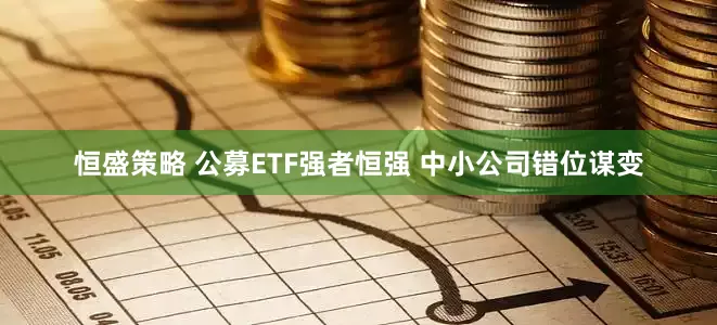 恒盛策略 公募ETF强者恒强 中小公司错位谋变
