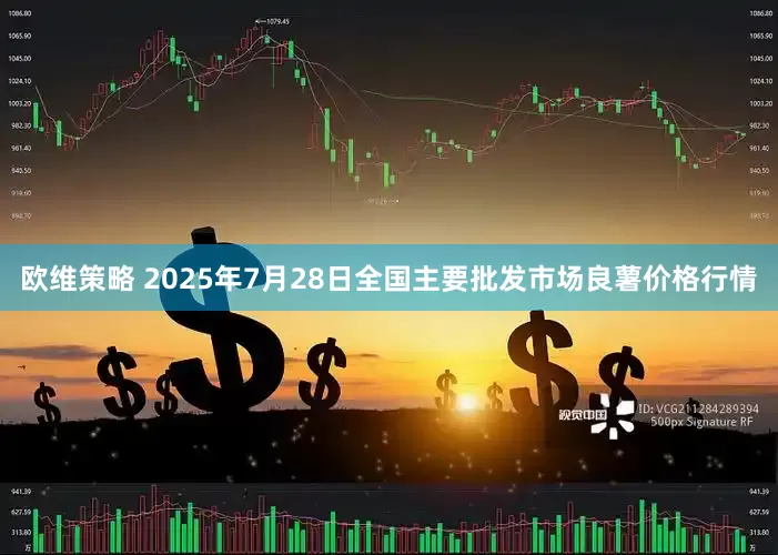 欧维策略 2025年7月28日全国主要批发市场良薯价格行情